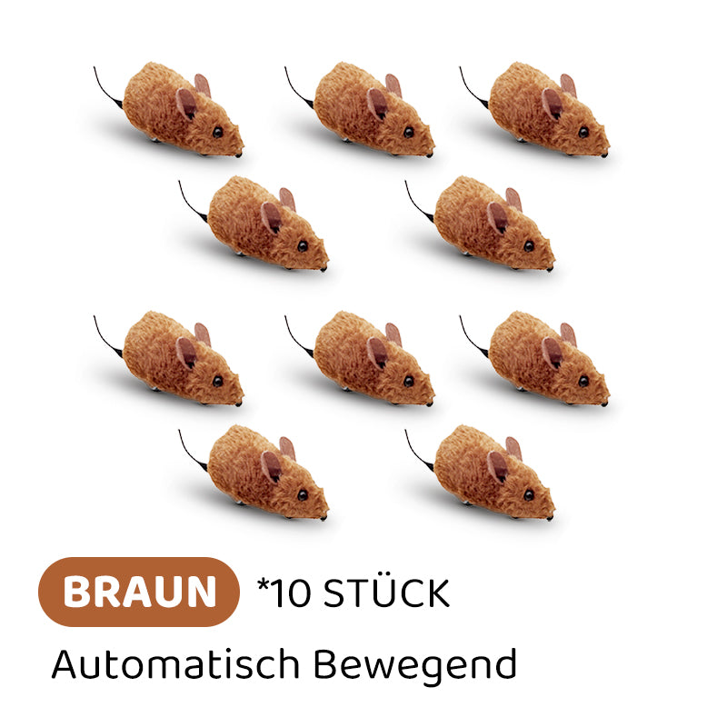 Carvallo | PawChase – Jaga, spela, jaga kul för din katt! Carvallo