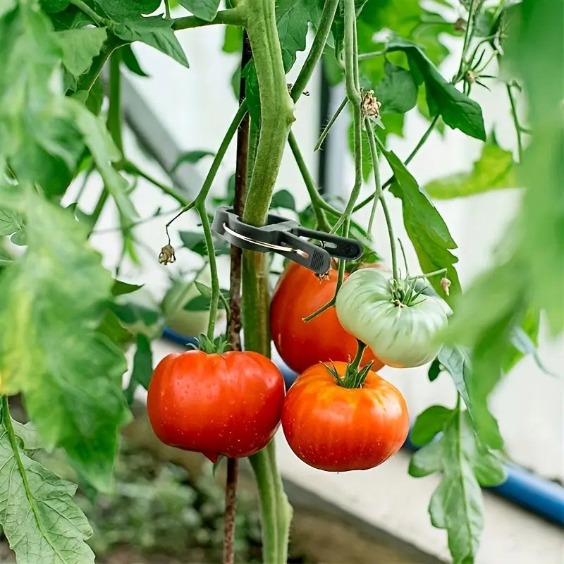 Trädgårdsclips-set – Växtöglor för växtstöd och trädgårdsskötsel Carvallo