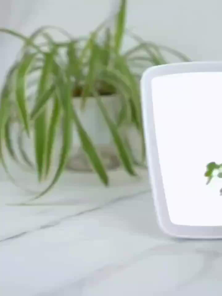 LED Makeup Spegel med Touchkontroll Carvallo