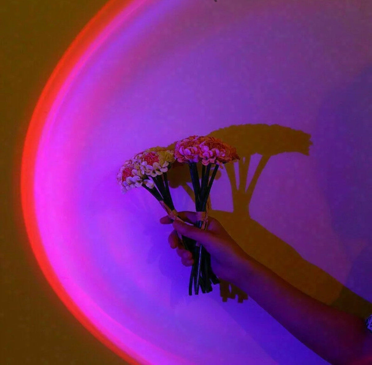 SolAura 15-färgers solnedgångsprojektorlampa för avkopplande atmosfär Carvallo