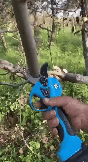 Elektrisk Sekatör med Lithiumbatteri 20v-VaruZ-Hemnix