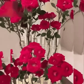 Modulära Glasvaser – Bygg din blomsterstil-VaruZ-Hemnix