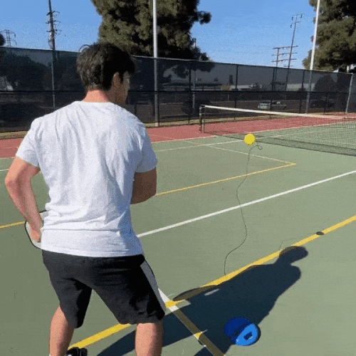 Royallure Luminous Pickleball Trainer med Extra-Greppande Bas & Luminös Boll Carvallo