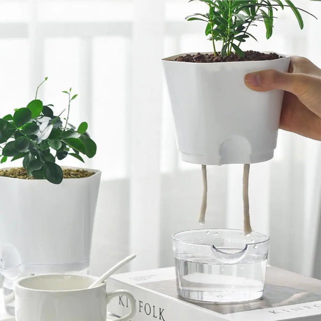 AquaPlanter - Smart Blomkruka och Miniakvarium i Ett Carvallo