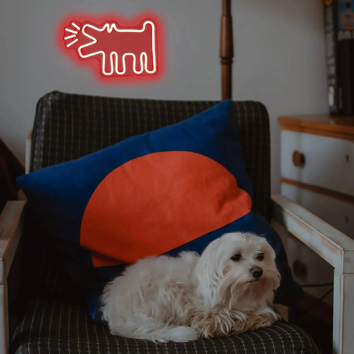 UrbanPaws – Graffiti Hund LED Neon Skylt för Djärv & Trendig Dekor Carvallo