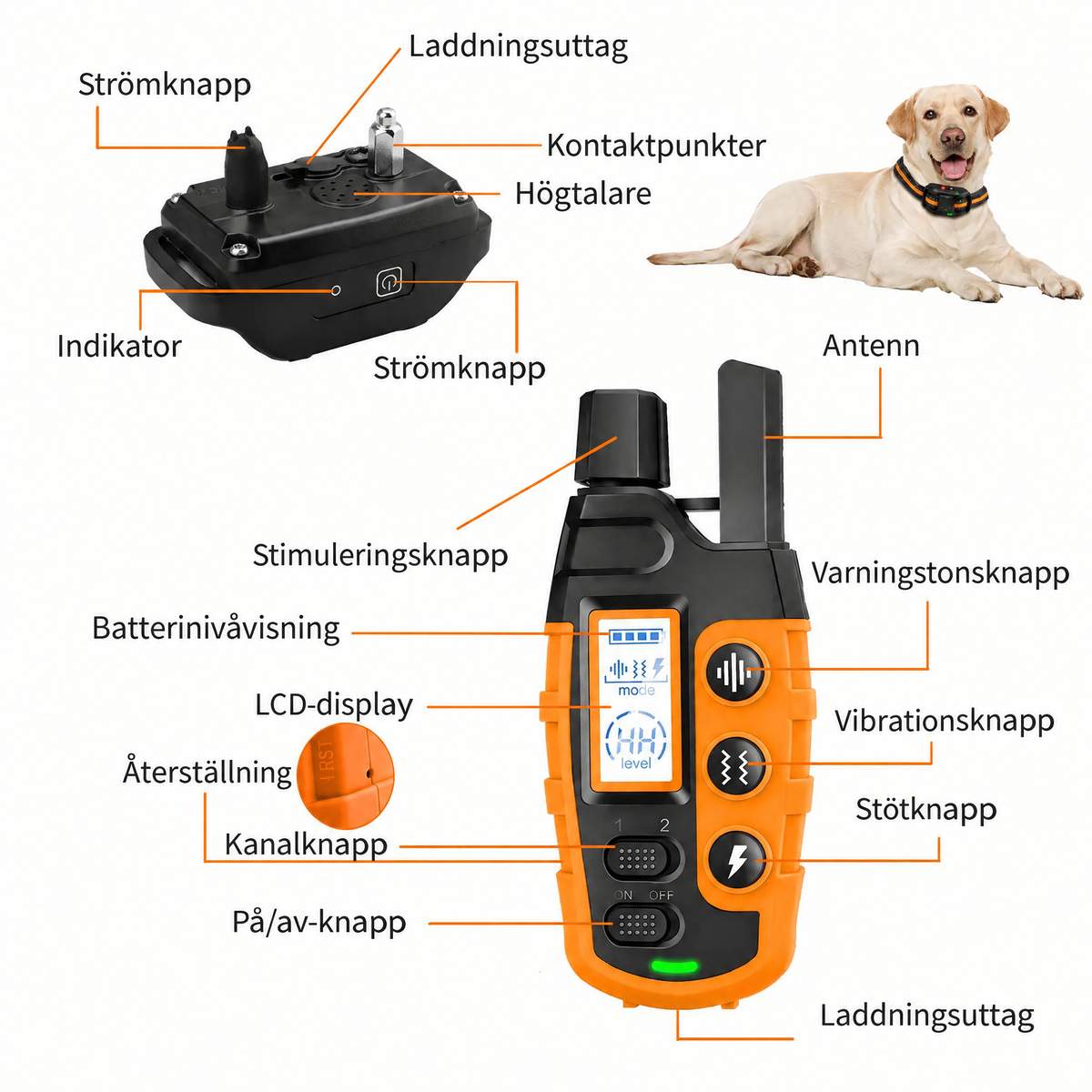 Hundträningshalsband med fjärrkontroll – 1000 m räckvidd