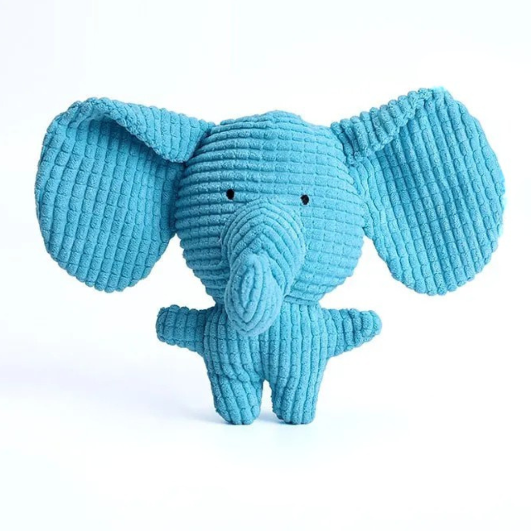 Hundleksak Platt Tug Set för Aggressiv Lek Carvallo