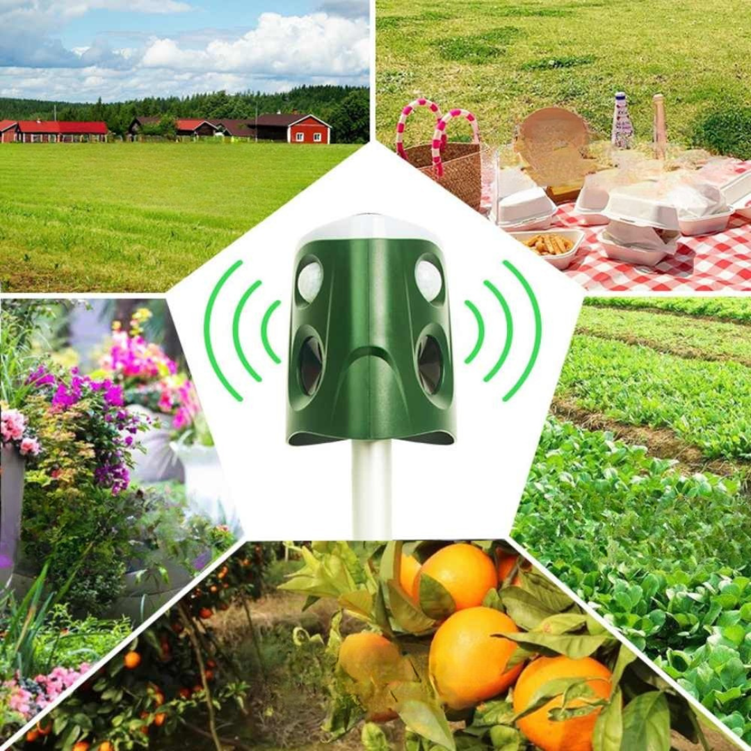 Katt- och djuravskräckare solenergi utomhusavskräckare Carvallo