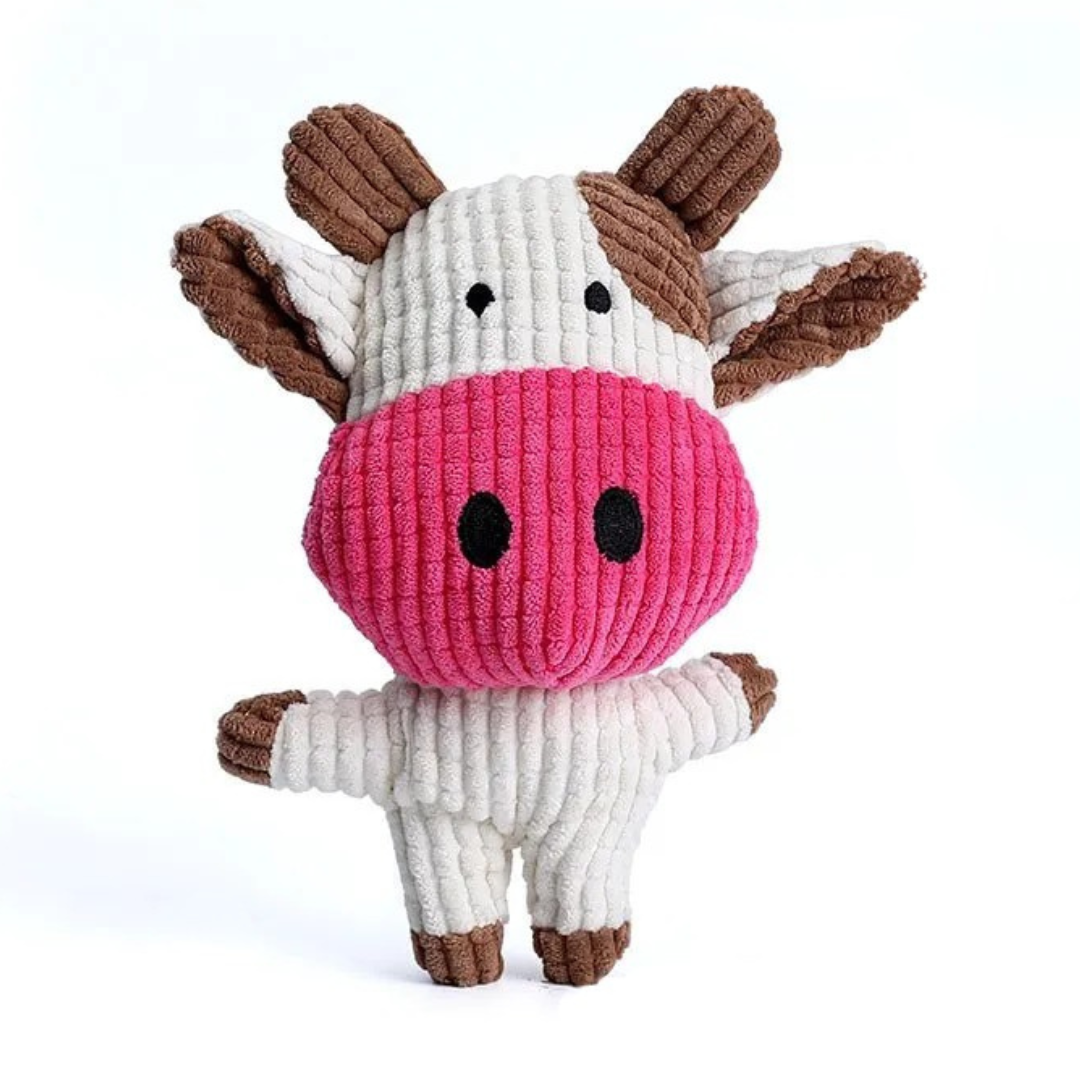 Hundleksak Platt Tug Set för Aggressiv Lek Carvallo