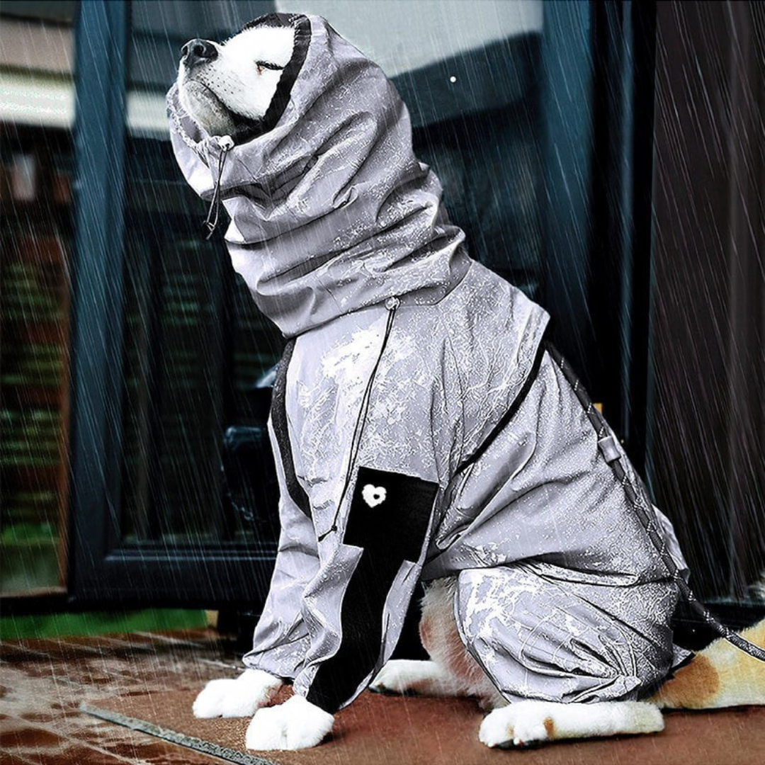 Hund Regnrock Vattentät Reflekterande Allvädersdräkt Carvallo