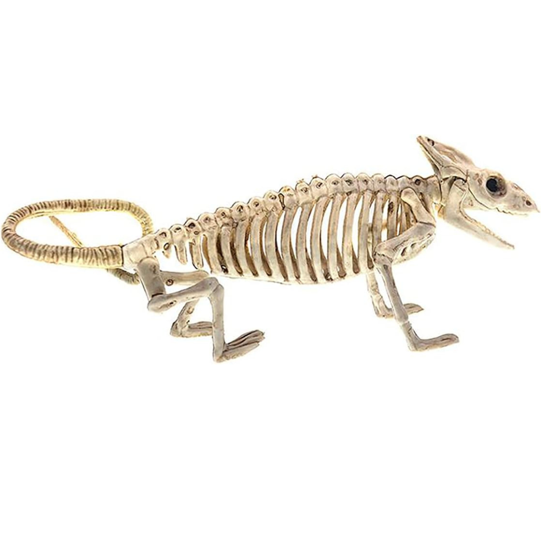 Väggkonst Hängande Skelett Fladdermus Ornament Carvallo