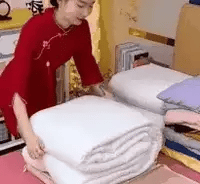 Royallure Kompressionsförvaringspåsar – Vattenavvisande Nylon, Lätt-Dragkedja, Förvaring för Garderob & Resa Carvallo