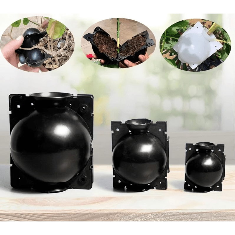 RootGrow Pods | Lätta förökning kloningssfärer för växter Carvallo