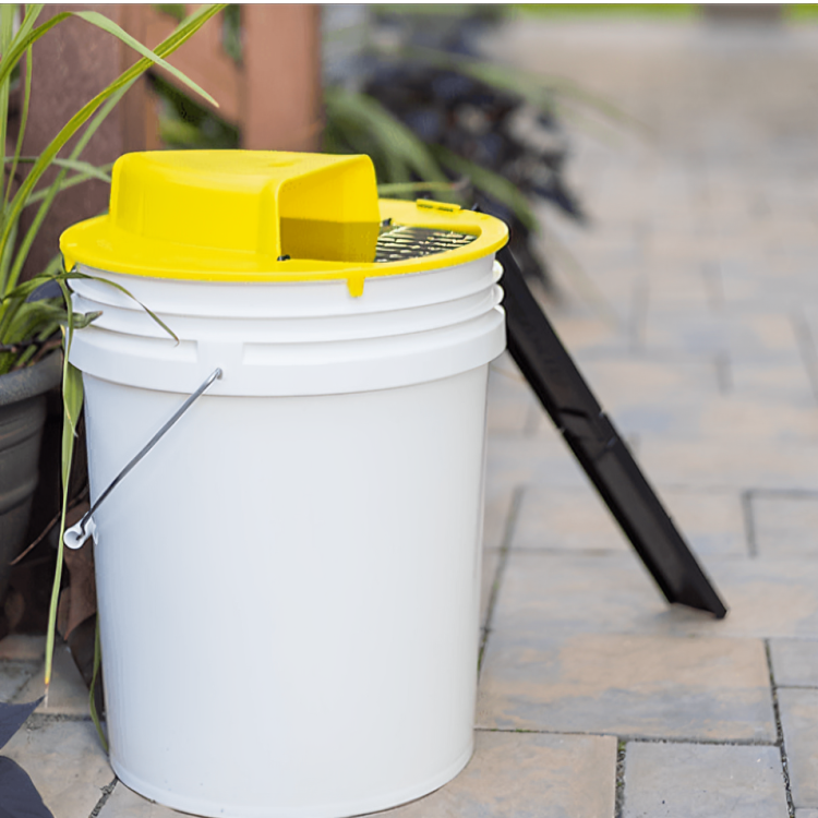 Råttfälla Bucket Lock Återanvändbar Skadedjursfångare Carvallo