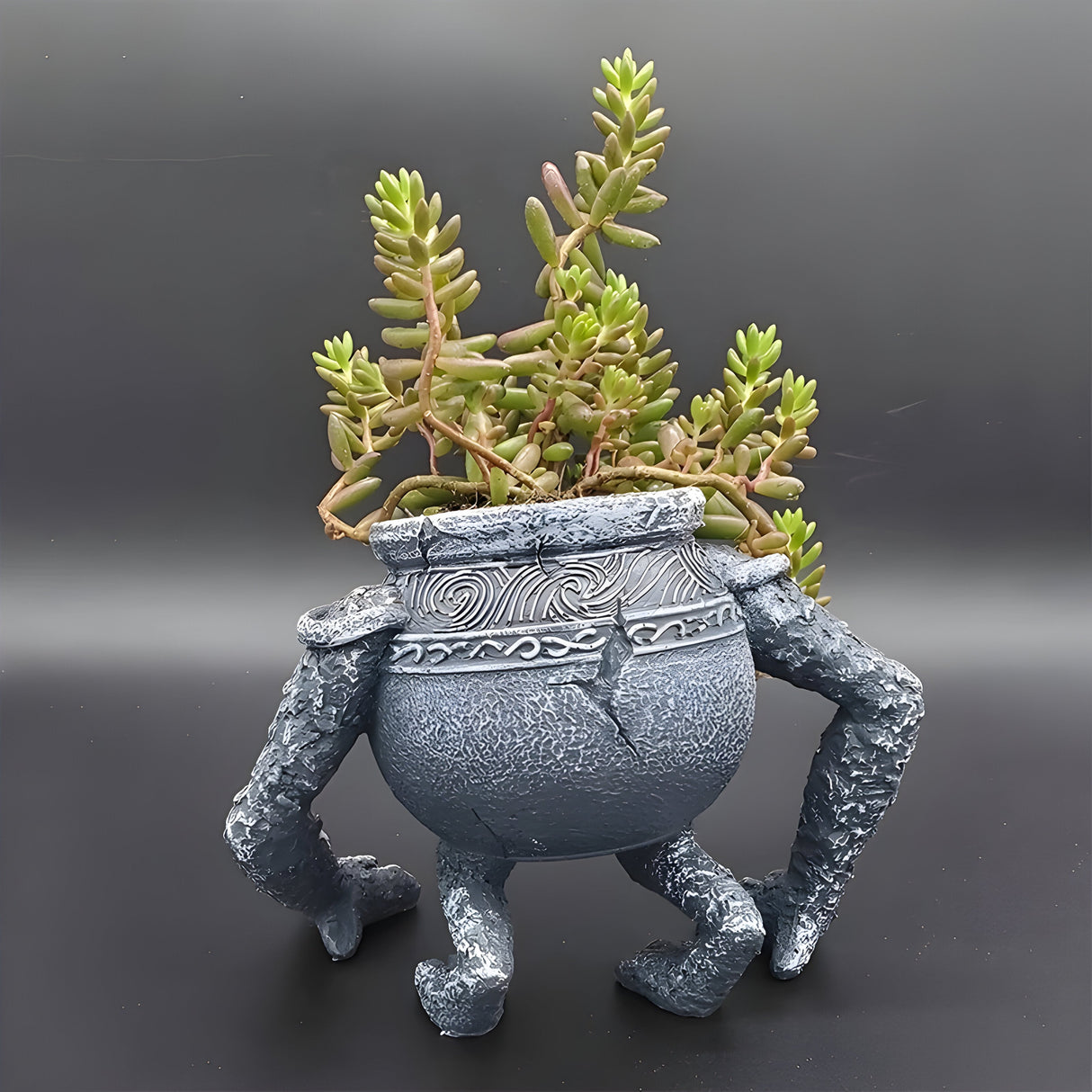 TerraKnight Pot - Trädgårdsrand Dekorativ Blomkruka Carvallo