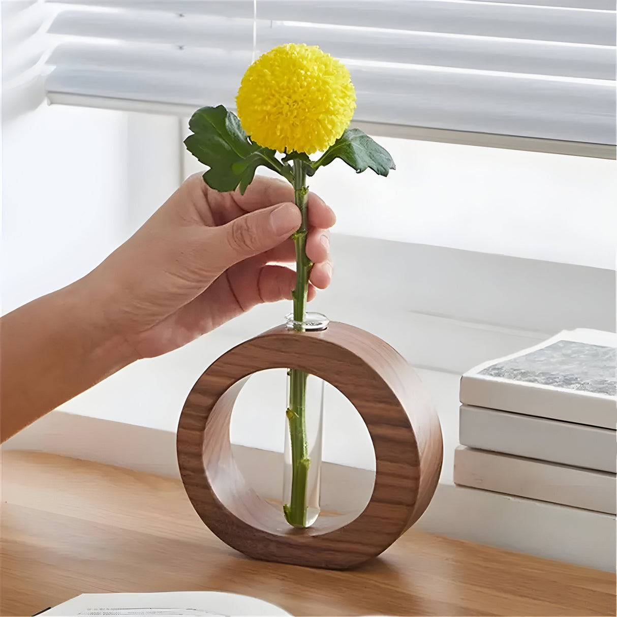 Carvallo – Elegant dekorativ vas för hydroponiska växter och blommor Carvallo