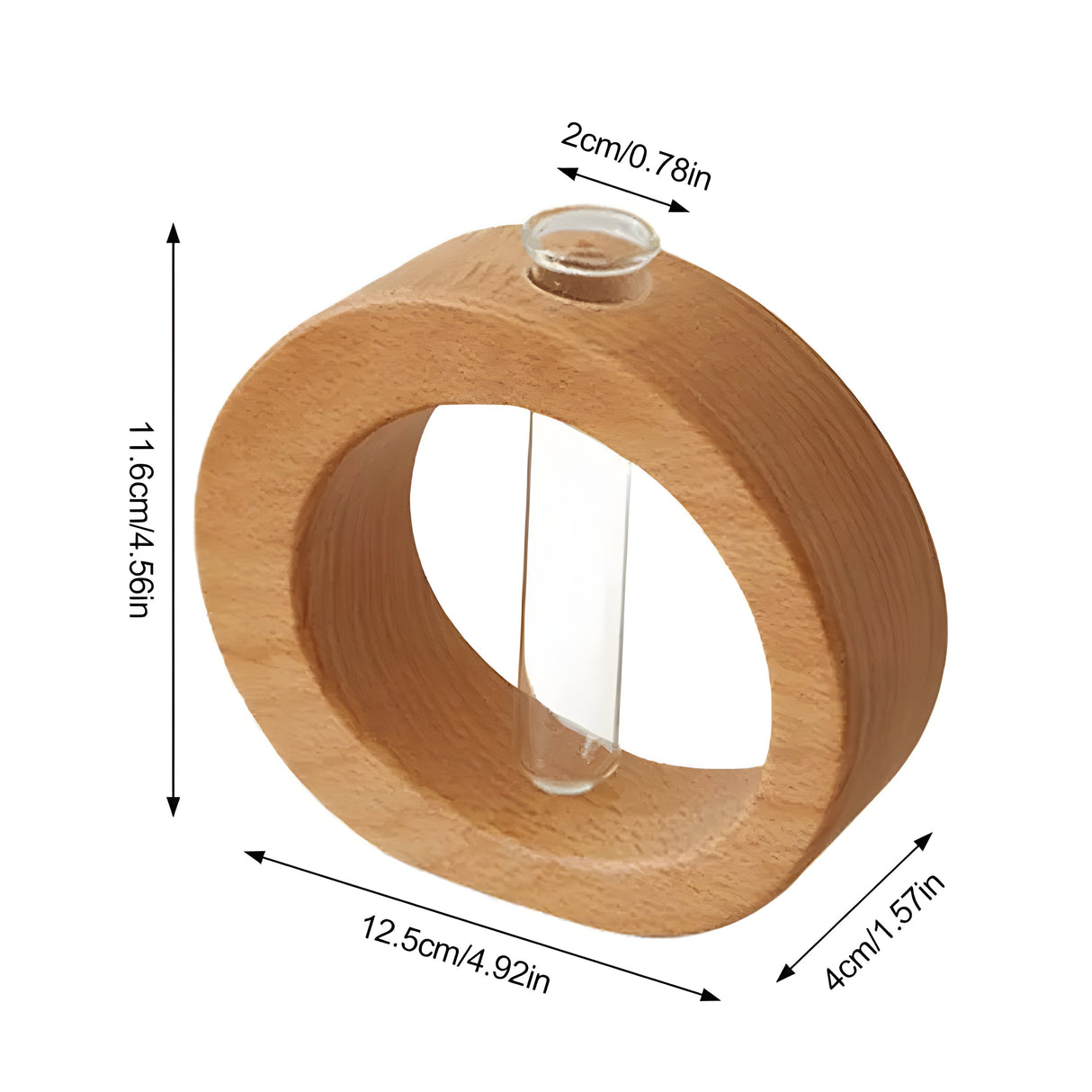 Carvallo – Elegant dekorativ vas för hydroponiska växter och blommor Carvallo
