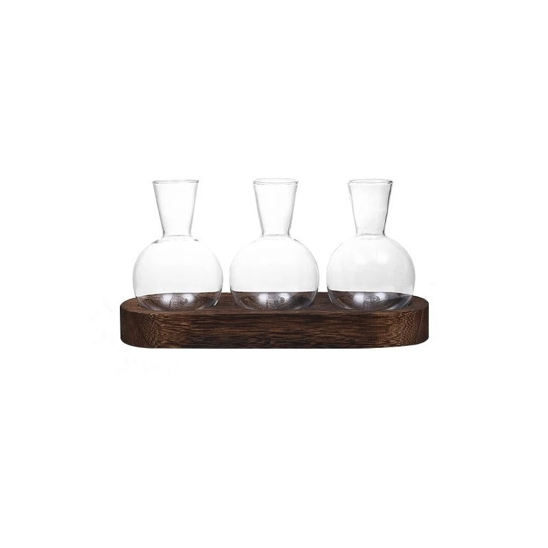 HydroHaven Vase - Elegant Hydroponic Glass Vase Carvallo
