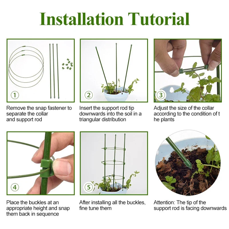 Klatram för växter – Stabil stödjeringram för klätterväxter Carvallo