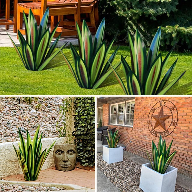 Anti-rost Metall Tequila Agave Växt Carvallo