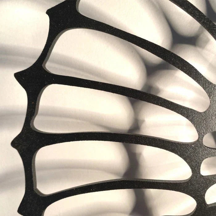 ShellShine - Skalmotiv vägglampa med mjukt ljus Carvallo