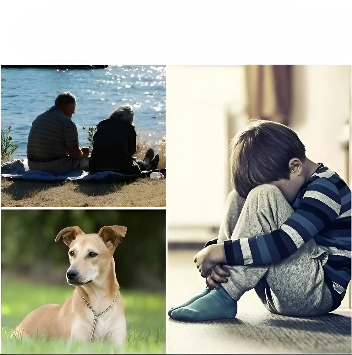 GPS-tracker Magnetisk Mini – Global täckning och realtidspositionering för ultimat säkerhet Carvallo