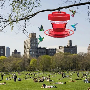 Fågelmatare med hängande myggfri design Carvallo