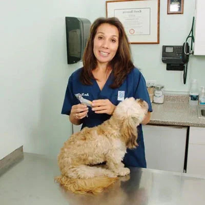 Royaleva Bästa Hundklotång Med Snabbsensorer Säker Trimming Carvallo