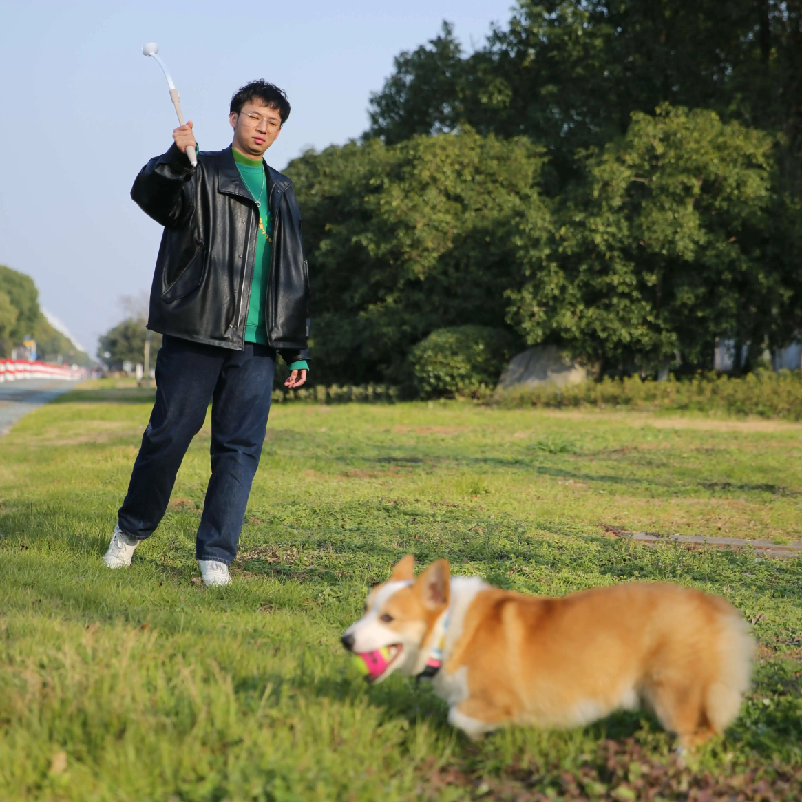 Hund Bollkastare-Hemnix-Hemnix