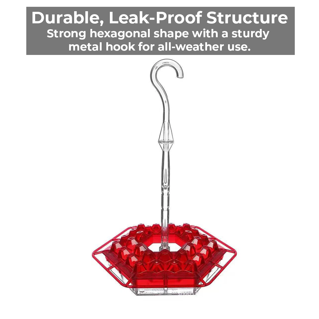 Myggsäker kolibri matare med 30 bi-resistenta portar Carvallo