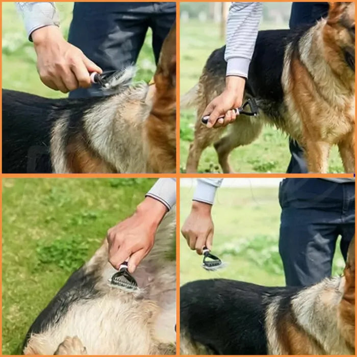 PälsExpert – borsten för lång- och korthåriga husdjur-VaruZ-Hemnix