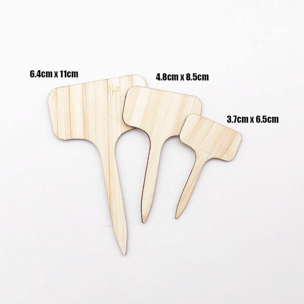 Carvallo – Växtskyltar av bambu för trädgård & dekoration Carvallo