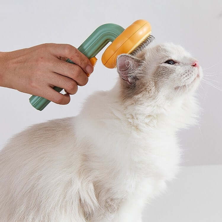 Pumpa Pet Brush-Animals-Hemnix-Hemnix