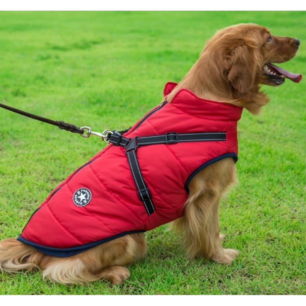 WoofGuard™ - Vattentät vinterjacka med integrerad sele Carvallo