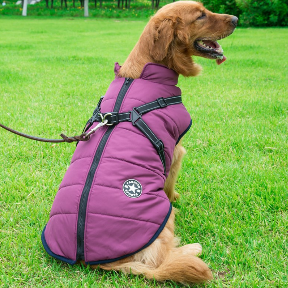 WoofGuard™ - Vattentät vinterjacka med integrerad sele Carvallo