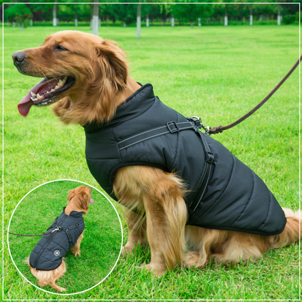 WoofGuard™ - Vattentät vinterjacka med integrerad sele Carvallo