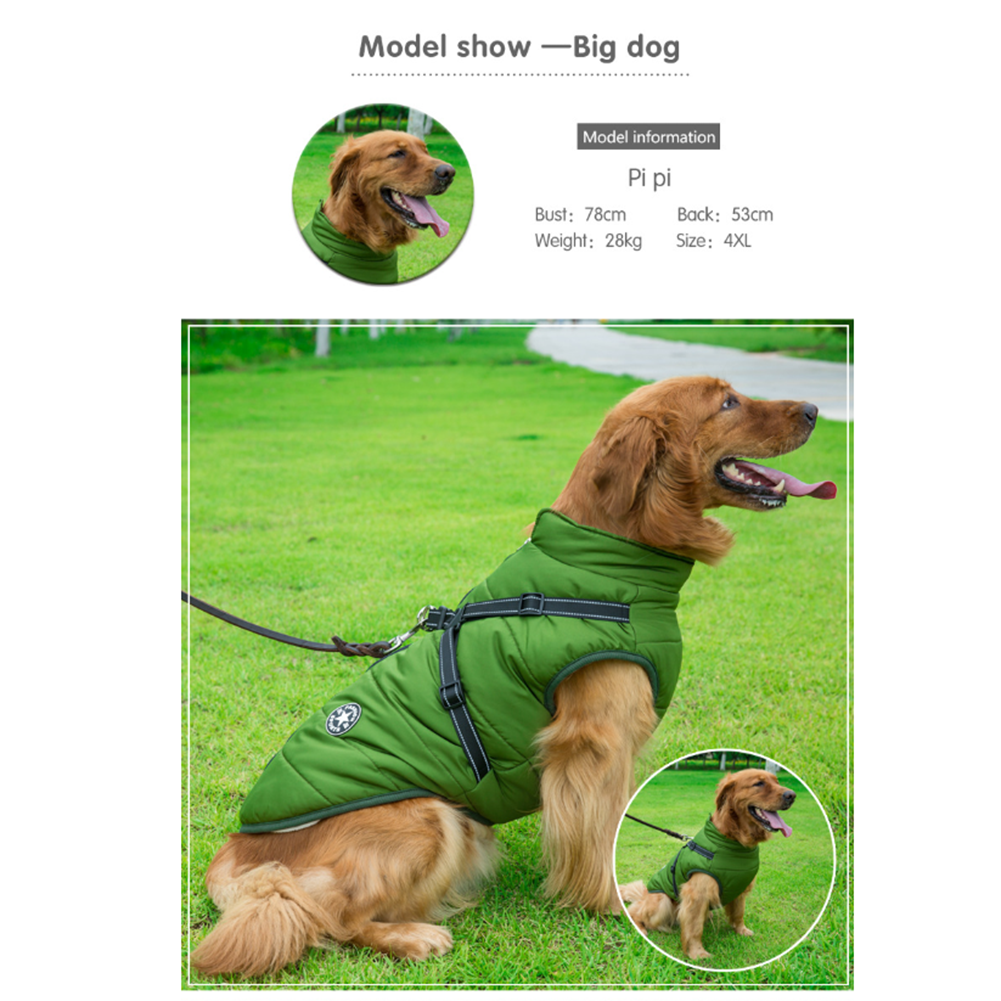 WoofGuard™ - Vattentät vinterjacka med integrerad sele Carvallo