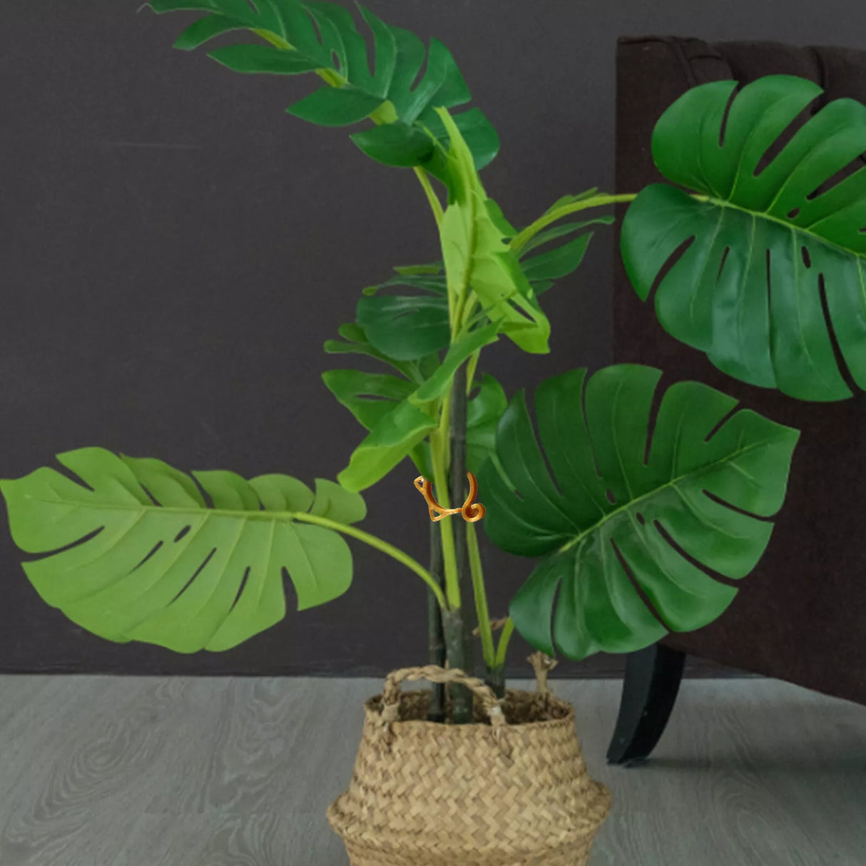 Katt-formad växtklipp – Söt växtstöd för trädgård och inomhusväxter Carvallo