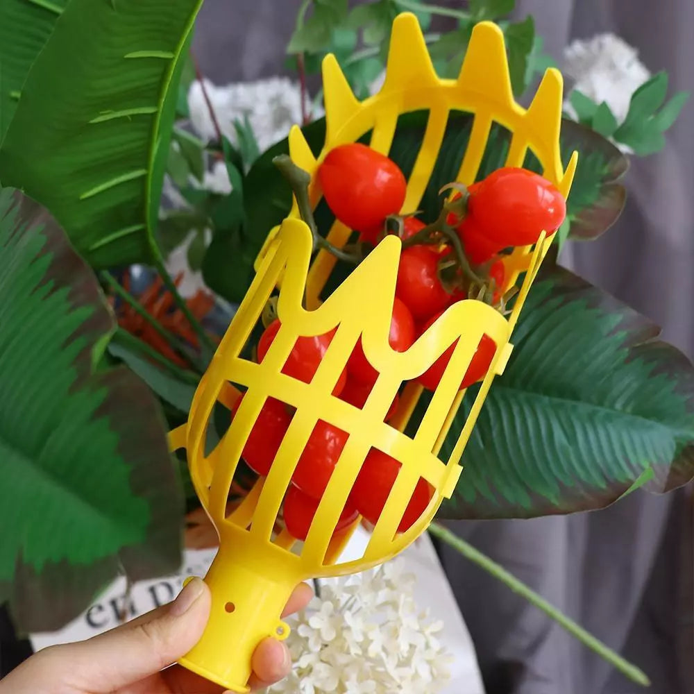 Skördshjälp för frukt – Praktiskt fruktplockarverktyg för träd och buskar Carvallo