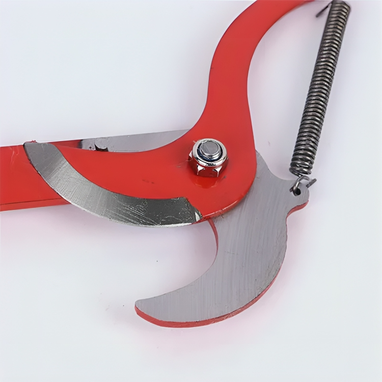 Carvallo - Safe cutting of high branches from the ground! Carvallo