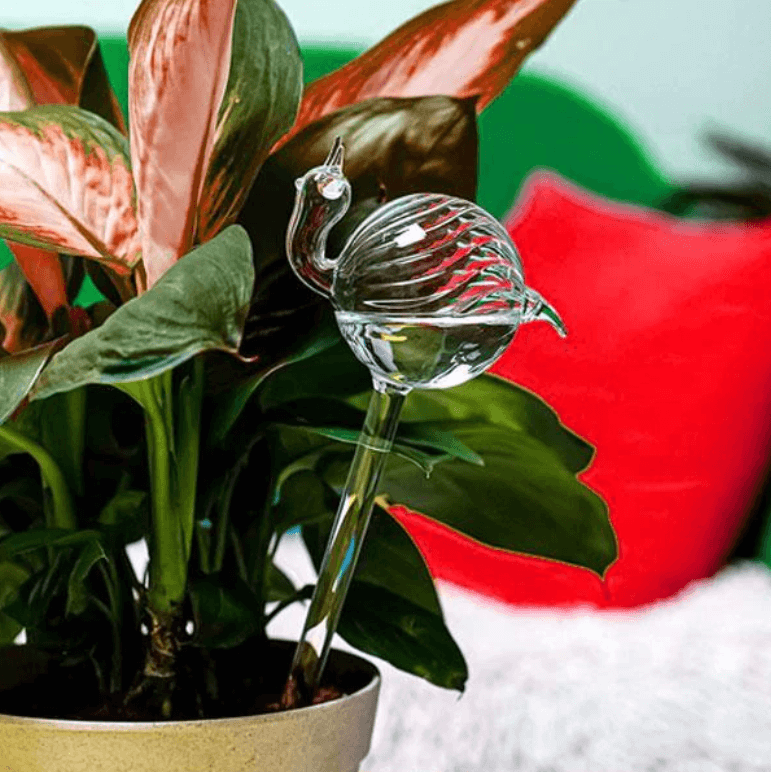 Självvvattnande växtlök-Garden-Hemnix-Gås-Hemnix