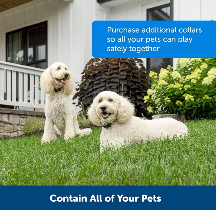 Hundstängsel trådlöst vattentåligt träningshalsbandsystem Carvallo