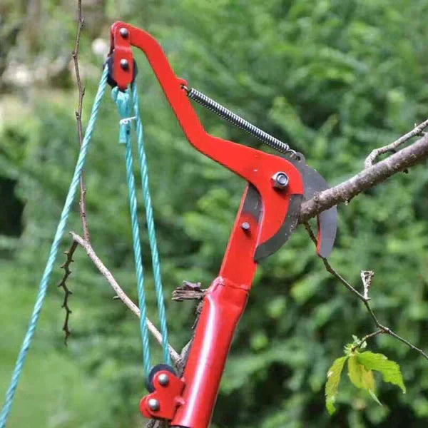 Carvallo – Risk-free cutting of high branches from the ground Carvallo