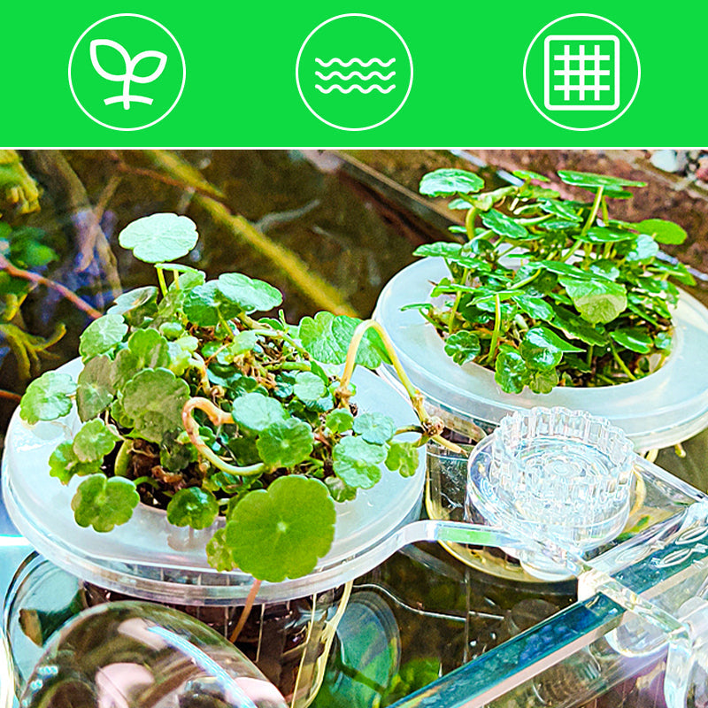 Carvallo | HydroScope – Rotövervakning gjort enkelt Carvallo