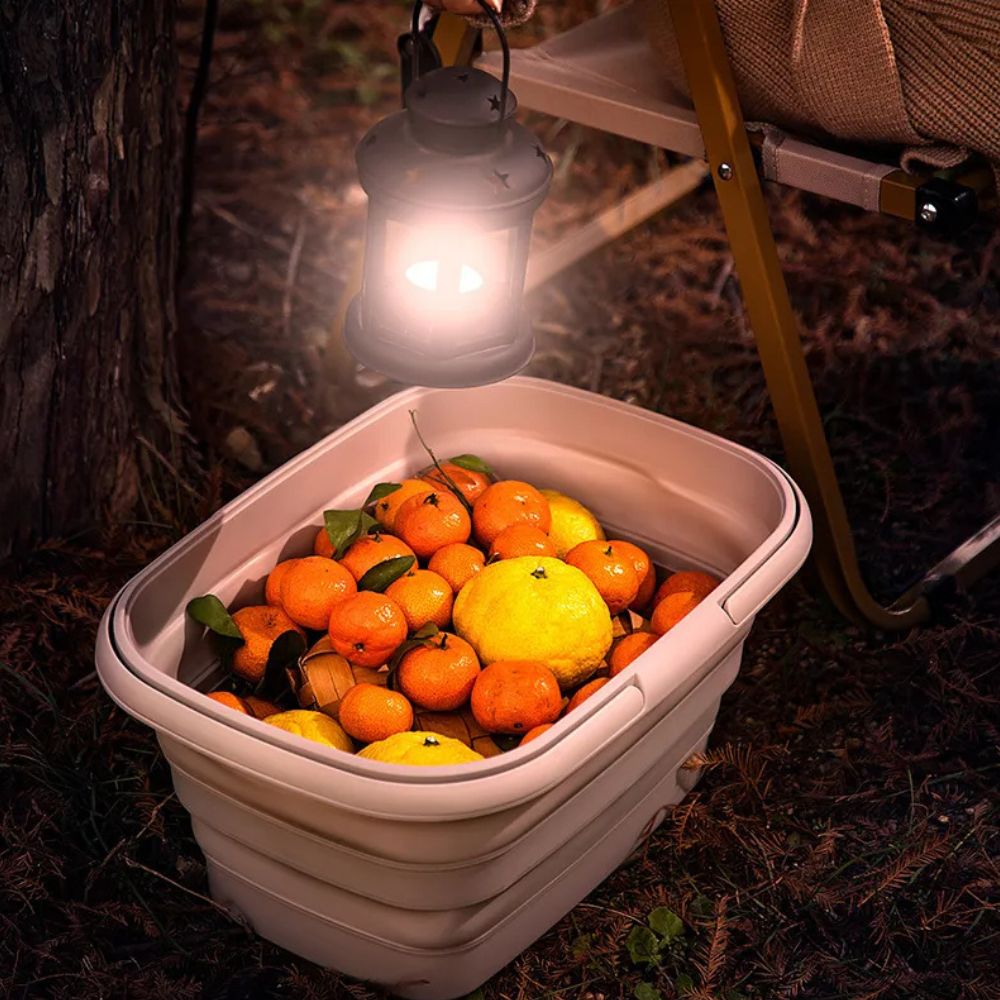 Förvaringskorg Sammanfallande Plast Vikbar Organisatör Carvallo