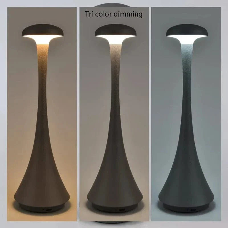 Bärbar midjeuppladdningsbar skrivbordslampa Carvallo