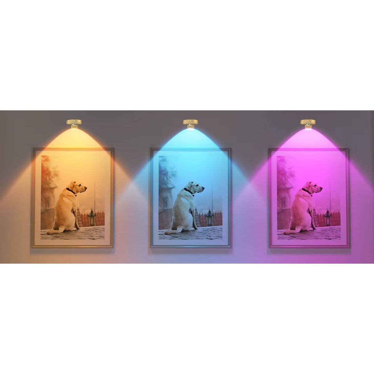 Återuppladdningsbara LED puckljus med magnetfäste – RGB-färgtemperatur - Justerbar ljusstyrka - Inomhus konstbelysning - Fjärrkontroll Carvallo