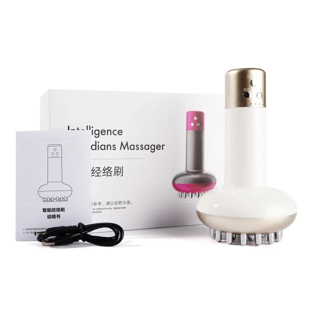 Mikroströmsterapi Massager: EMS, Värme, Guasha, Detox & Slimning Carvallo