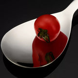 Carvallo – Robust ris sked i stål Carvallo