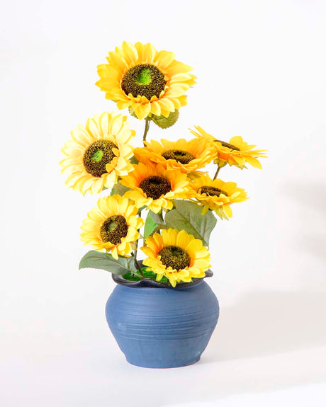 Carvallo – Munter solrosarrangemang för varaktig naturlig charm Carvallo